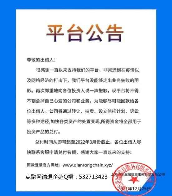 點融 中國領先的互聯網借貸信息服務公司